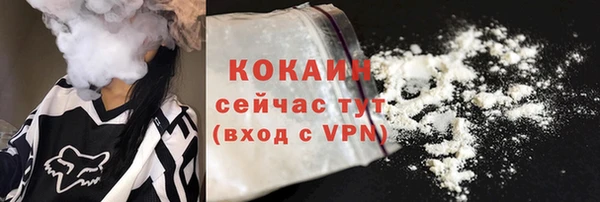 гидра Вязьма