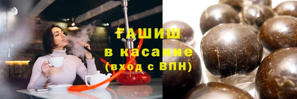 гидра Вязьма
