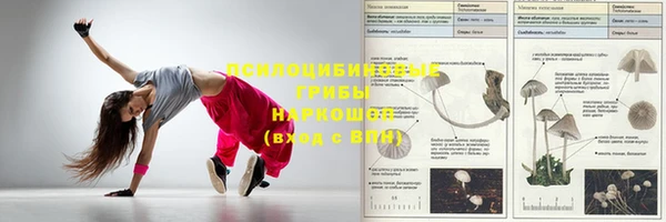 прущий лед Горняк