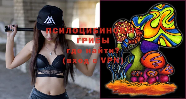 МДПВ Горнозаводск