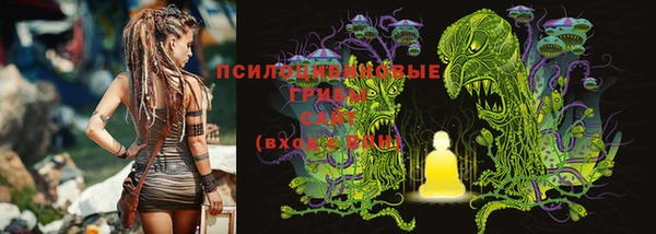 МДПВ Горнозаводск
